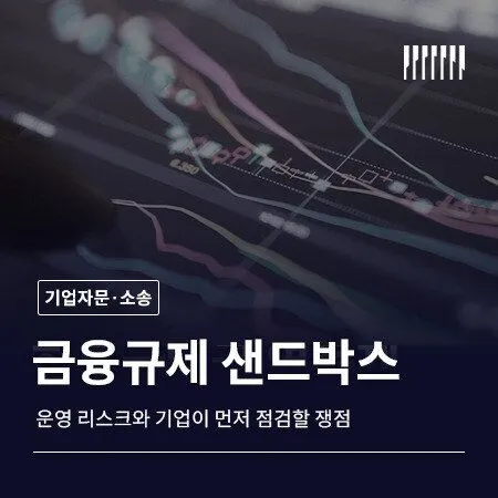 금융규제 샌드박스 운영 리스크 기업이 먼저 점검할 쟁점